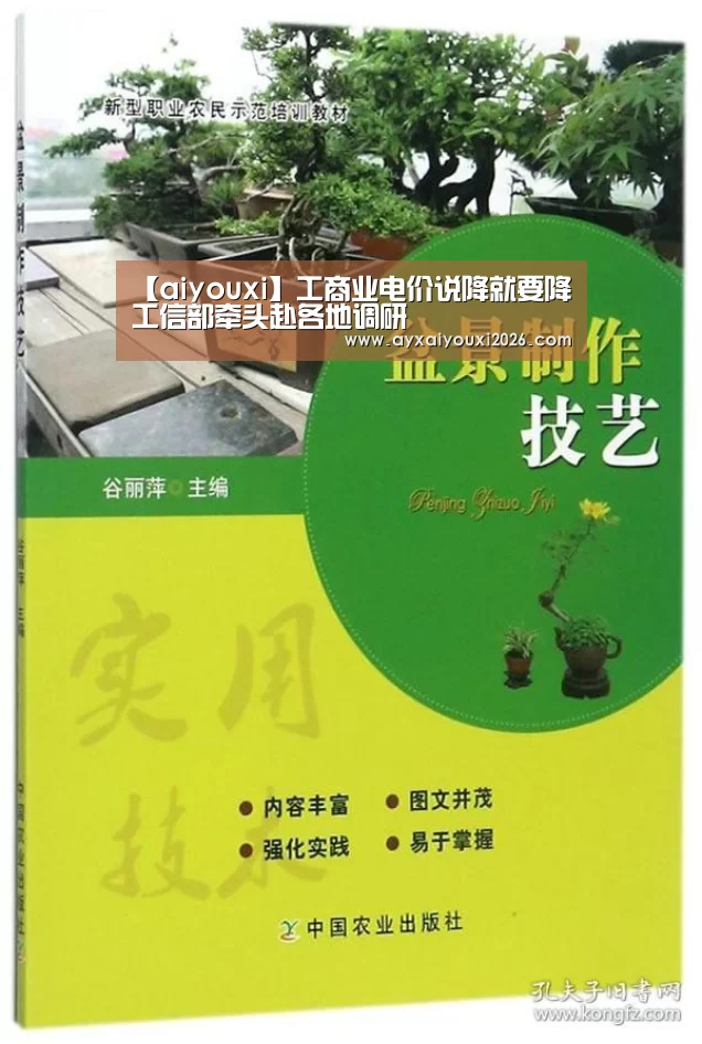 【aiyouxi】工商业电价说降就要降工信部牵头赴各地调研(图1) 爱游戏