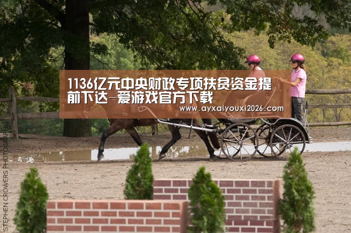 1136亿元中央财政专项扶贫资金提前下达-爱游戏官方下载(图3) 爱游戏官方下载