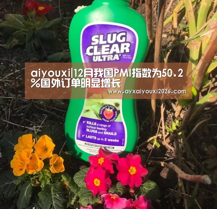 aiyouxi|12月我国PMI指数为50.2%国外订单明显