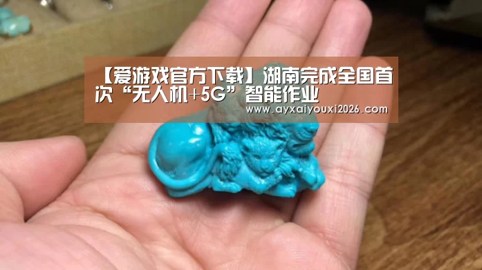 【爱游戏官方下载】湖南完成全国首次“无人机+5G”智能作业(图3) 爱游戏官方下载