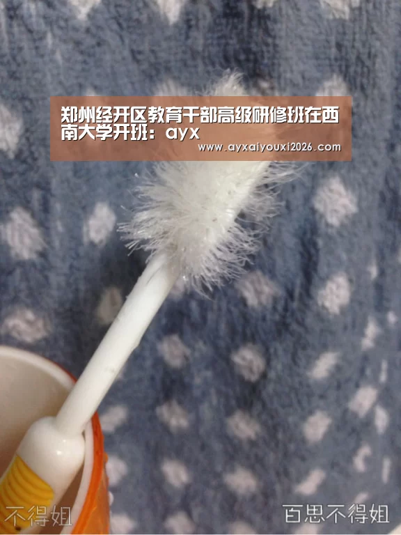 郑州经开区教育干部高级研修班在西南大学开班:ayx(图3) 郑州经开区教育干部高级研修班在西南大学开班:ayx(图3)