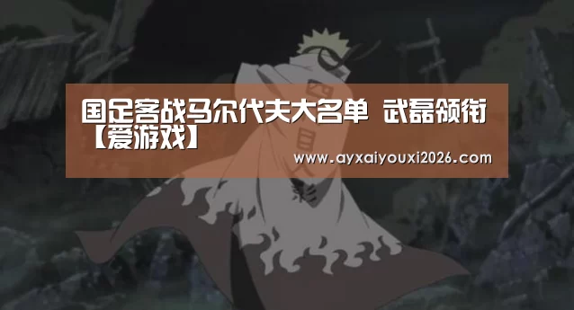 国足客战马尔代夫大名单 武磊领衔【爱游戏】(图4) 爱游戏官方下载