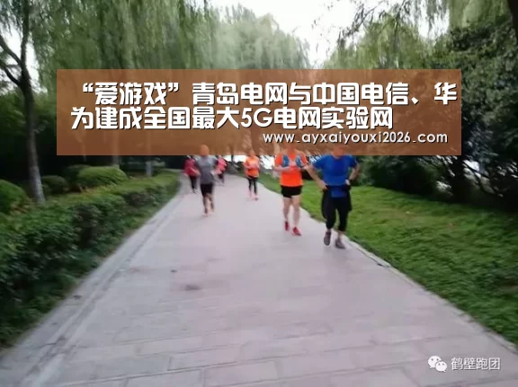 “爱游戏”青岛电网与中国电信、华为建成全国最大5G电网实验网(图4) 爱游戏官方下载
