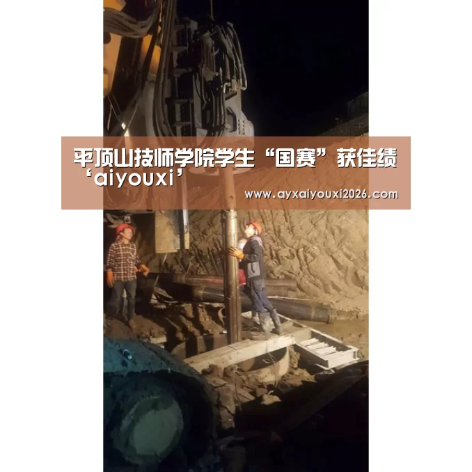 平顶山技师学院学生“国赛”获佳绩‘aiyouxi’(图1)