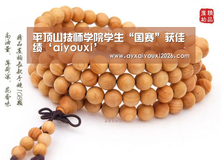 平顶山技师学院学生“国赛”获佳绩‘aiyouxi’(图2)