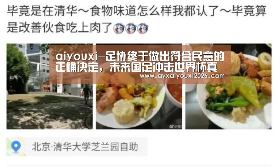 aiyouxi-足协终于做出符合民意的正确决定,未来国足冲击世界杯真有戏了(图3) 爱游戏