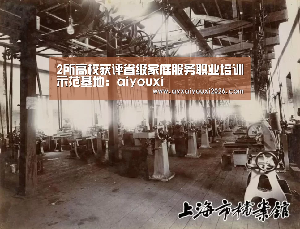 2所高校获评省级家庭服务职业培训示范基地:aiyouxi(图2) 爱游戏官方下载