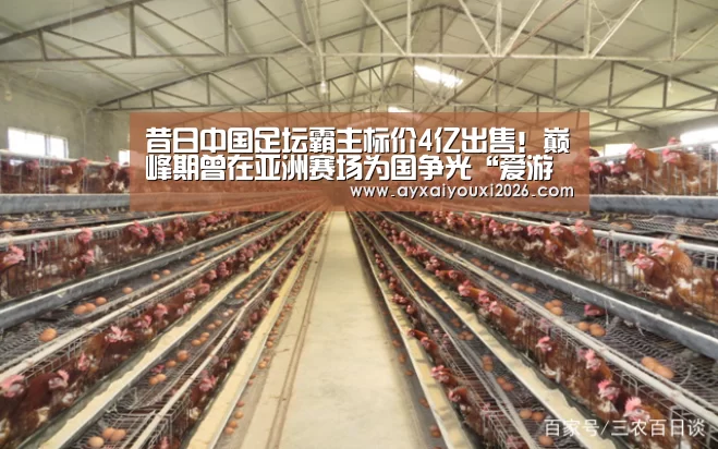 昔日中国足坛霸主标价4亿出售！巅峰期曾在亚洲赛场为国争光“爱游戏”(图2)